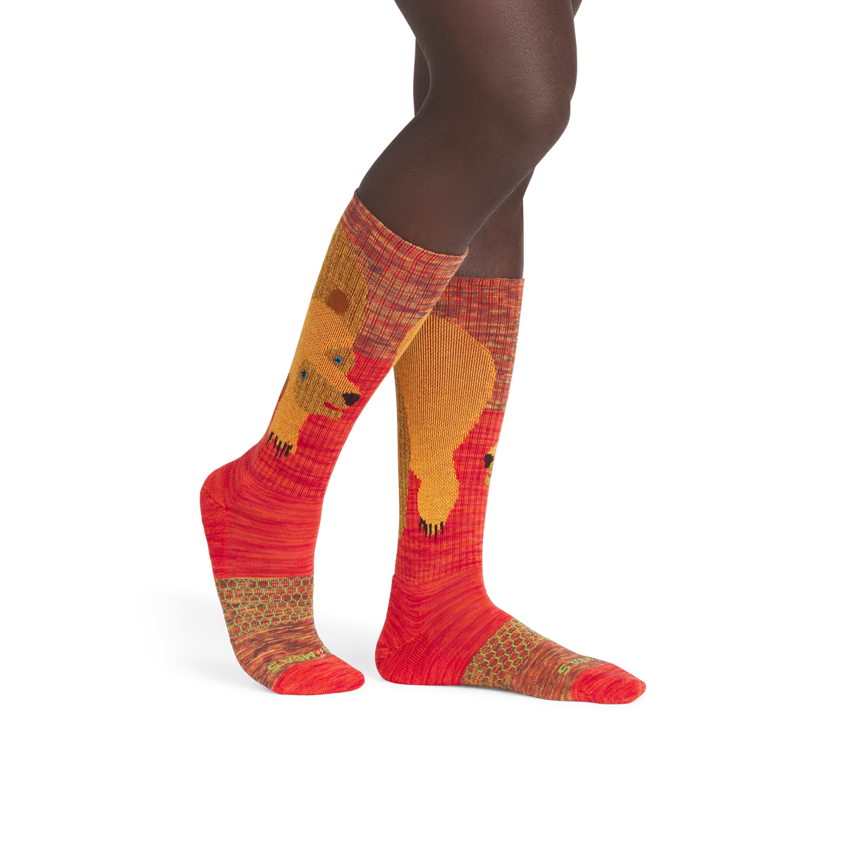 Eric Carle Big Brown Bear Calf Socks - brown bear MO1 [5293]