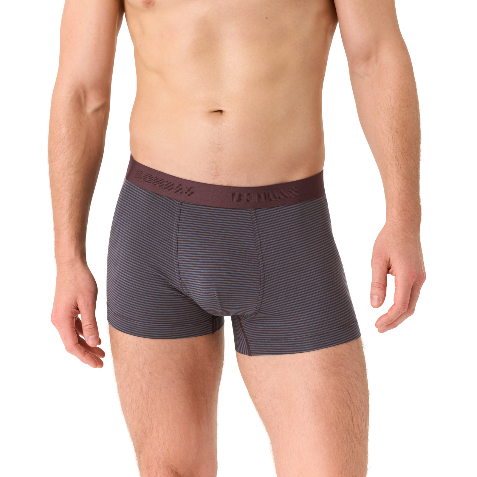 official-bombas::8472-allspice-pebblemicrostripe-adult-male-onmodel-1-transparent.png