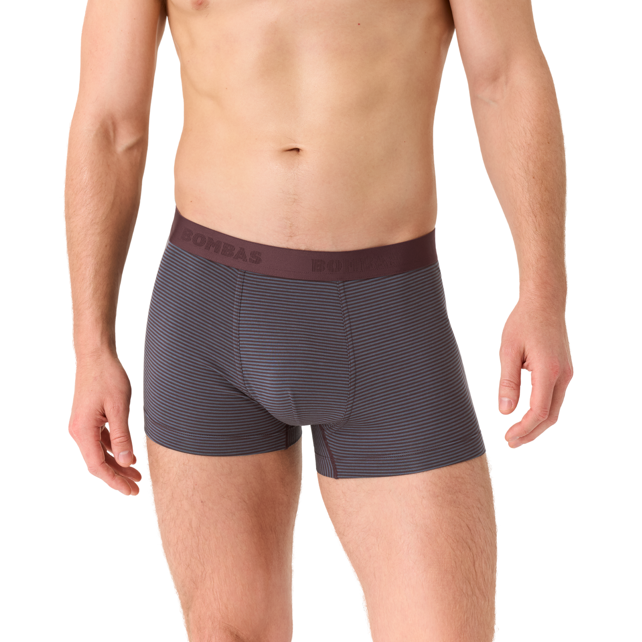 Men's Cotton Modal Blend Trunk - All Spice / Pebble Micro Stripe MO1 [8472]