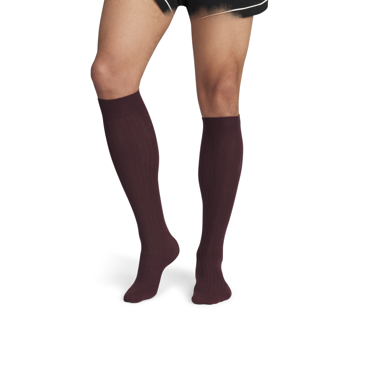 Ribbed Dress OTC Socks - Chocolate Brown MO1 [8806]
