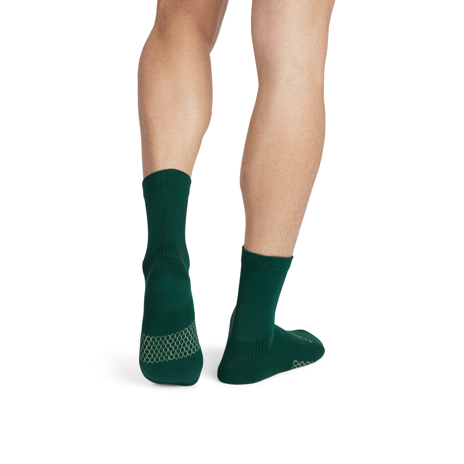 Modern Rib Half Calf Socks - Everglade MO1 [8861]